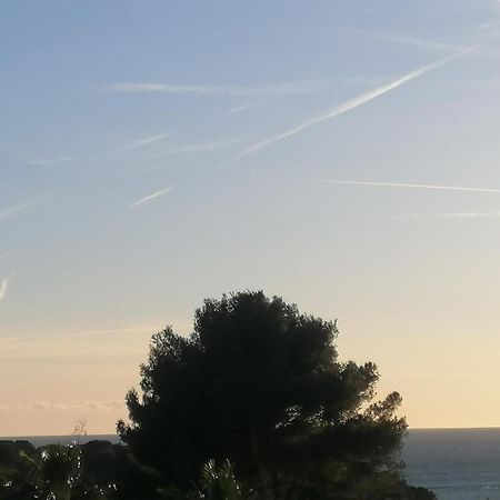 Sanary Les Gorguettes, Studio Avec Terrasse Vue Mer, A 10 Min A Pieds De La Plage Buitenkant foto
